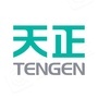 天正 TENGEN