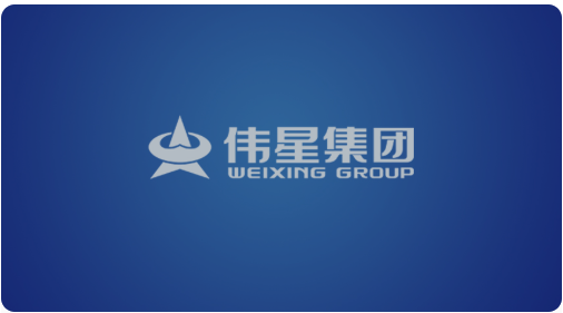 伟星集团有限公司
